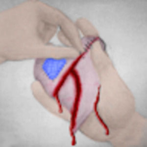 Meet your Posher, Fiona fyre